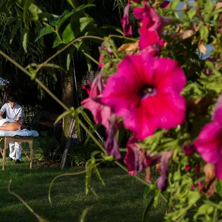 Country house Casa Do Sear - & Exterior *