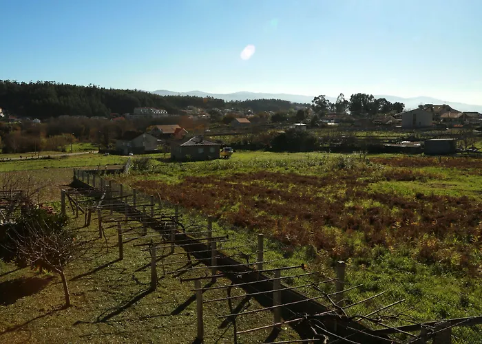 Casa rural Casa Do Sear - Turismo Rural&spa